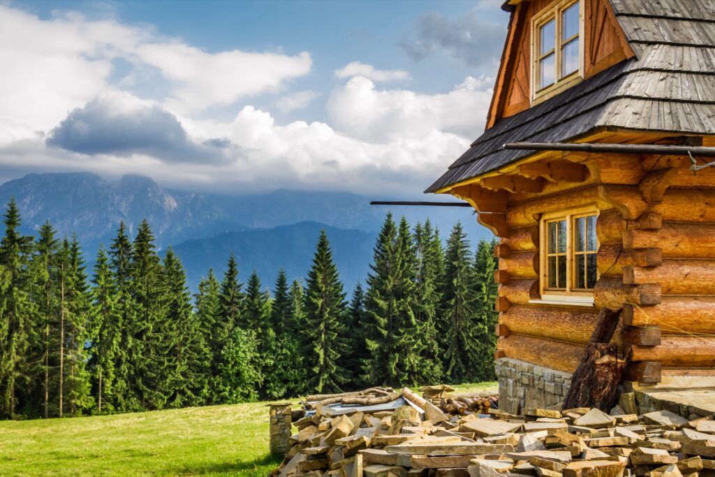 A log home in montana